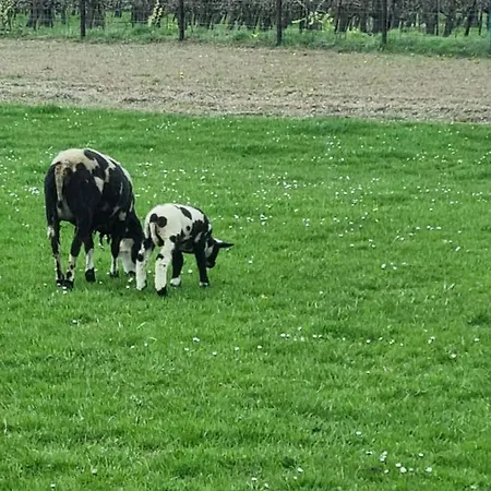 Hemmer Hoeve * Hem