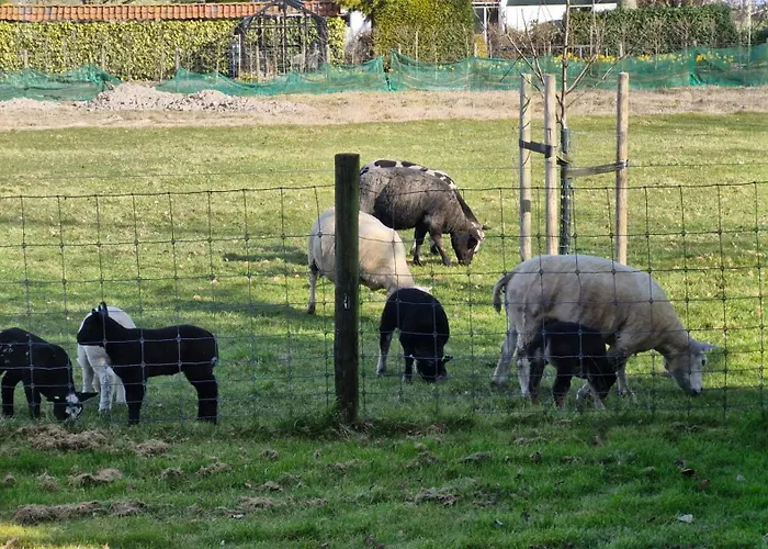 Hemmer Hoeve Hébergement de vacances *