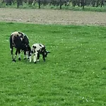 Hemmer Hoeve * Hem