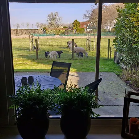 Hemmer Hoeve Vakantiehuis Hem