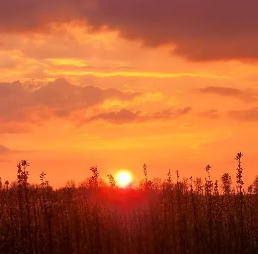 Vakantiehuis Hemmer Hoeve *